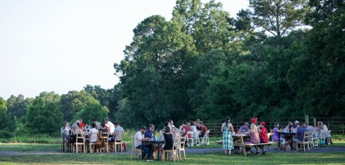 A large group of people dining outdoors at tables surrounded by trees and greenery.