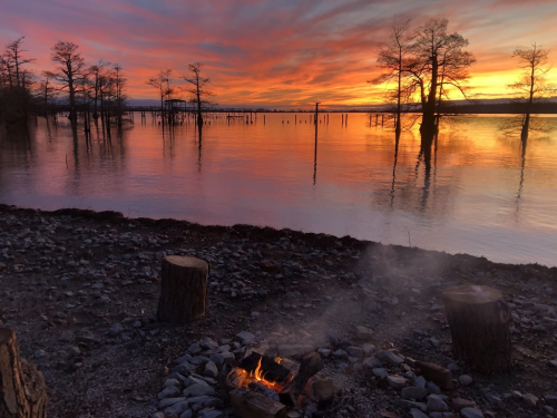A serene lakeside scene at sunset, featuring a small fire, tree stumps, and silhouettes of trees reflected in the water.