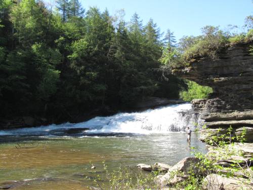 A serene waterfall cascades into a clear pool, surrounded by lush green trees and rocky cliffs under a blue sky.