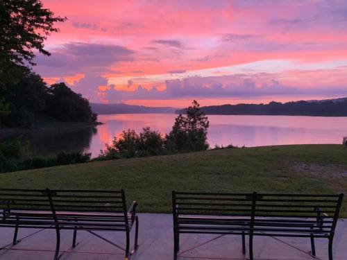 A serene lakeside view at sunset, with vibrant pink and purple skies reflecting on the water, and two empty benches.