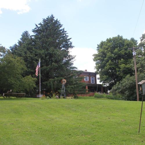A green landscape featuring a large tree, an American flag, a windmill, and a house in the background.
