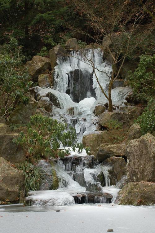 A frozen waterfall cascading over rocks, surrounded by greenery and ice, creating a serene winter landscape.
