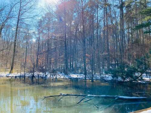 A serene winter scene featuring a calm pond surrounded by snow-covered trees and a clear blue sky.