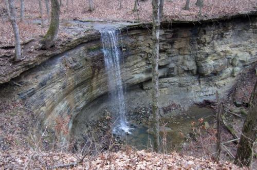 A serene waterfall cascades over a rocky cliff into a small pool, surrounded by bare trees and fallen leaves.