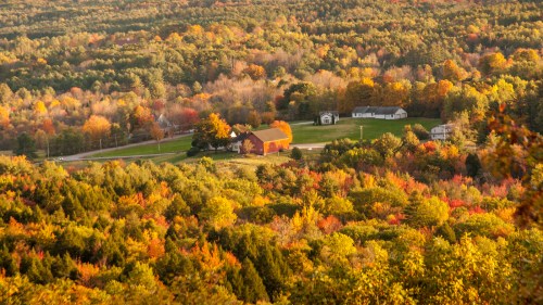 A scenic view of a rural landscape with vibrant autumn foliage and a few houses nestled among the trees.