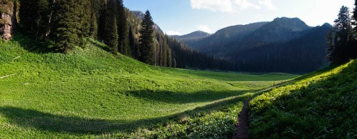A panoramic view of a lush green valley surrounded by mountains and tall trees under a clear blue sky.