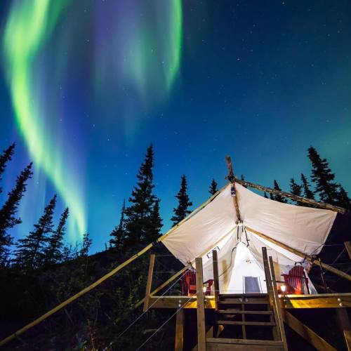A cozy tent under vibrant northern lights, surrounded by trees and a starry sky.