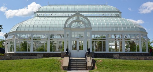 A large glass greenhouse with a curved roof, surrounded by greenery and steps leading to the entrance.