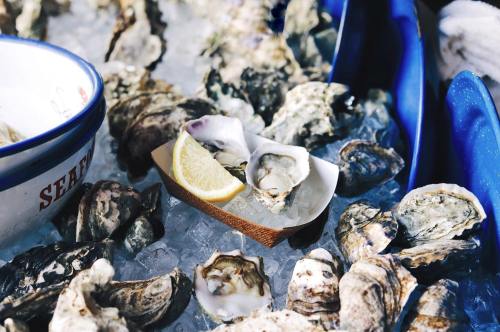 A platter of fresh oysters on ice, garnished with a lemon wedge, surrounded by more oysters in blue bowls.