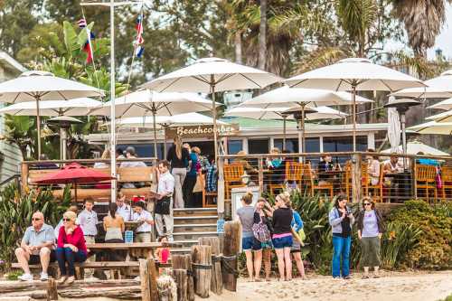 A beachside restaurant with umbrellas, people dining, and enjoying the sun near the shore. Lush greenery surrounds the area.