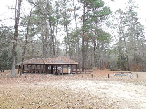 A wooden pavilion surrounded by tall trees in a forested area, with a gravel path and picnic tables nearby.