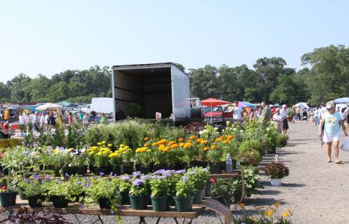 A vibrant farmers market with colorful flowers, plants, and people browsing under sunny skies.