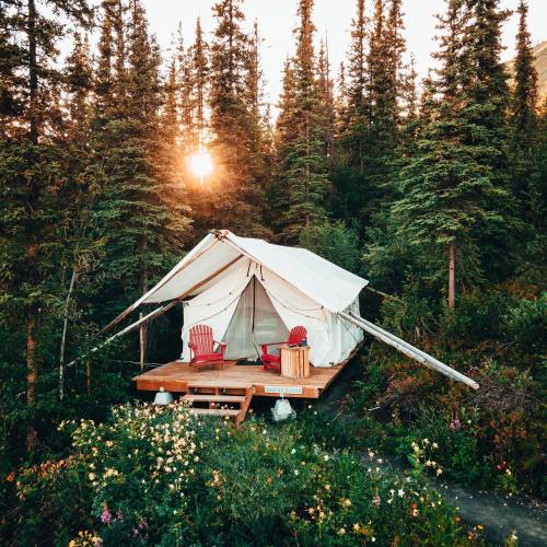 A cozy tent on a wooden deck surrounded by trees and wildflowers, with a sunset glowing in the background.
