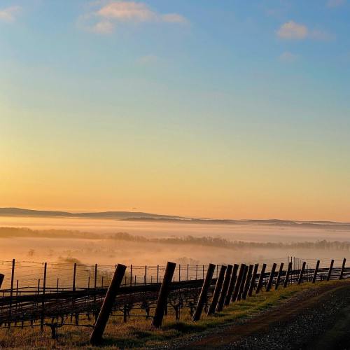A serene sunrise over a misty landscape, with a fence line leading into the distance.