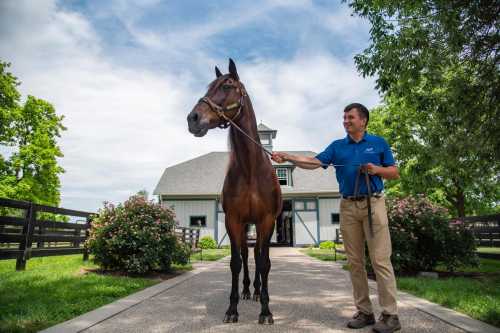 A person holds a horse by a lead rope in front of a barn, surrounded by greenery and flowers on a sunny day.