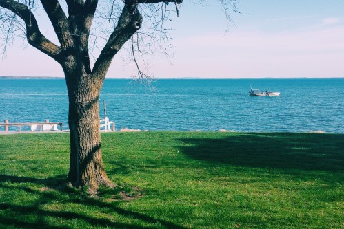 A serene view of a lake with a small boat in the distance, framed by a tree and green grass in the foreground.