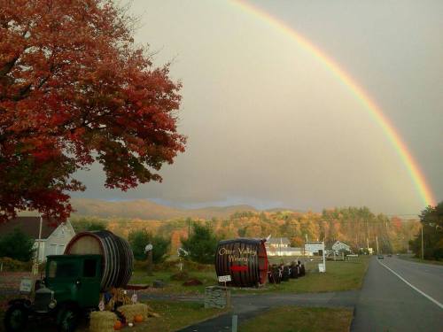 A scenic view of a rainbow over a vineyard, with autumn trees and vintage barrels along the roadside.
