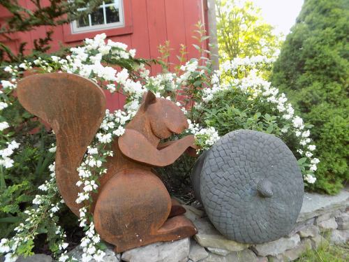 A rusted squirrel sculpture surrounded by white flowers and greenery near a stone wall.