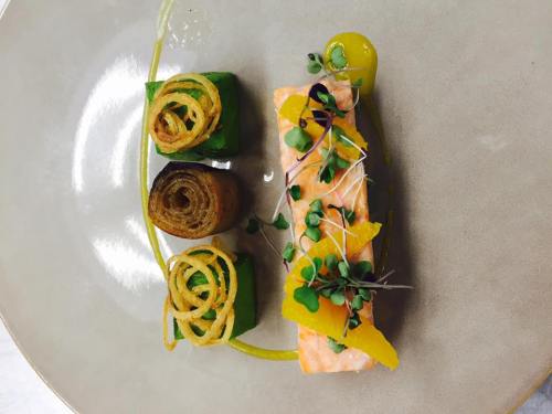 A plated dish featuring salmon, green vegetable rolls, and garnishes, artfully arranged on a light-colored plate.