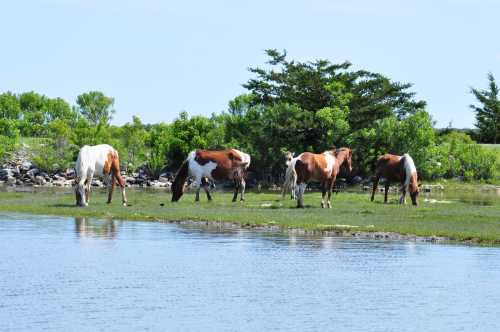 A group of horses grazing near a calm body of water, surrounded by green vegetation and trees.