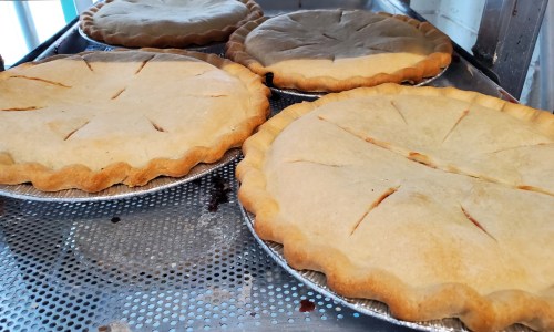 Freshly baked pies cooling on a metal rack, featuring golden crusts with slits on top.