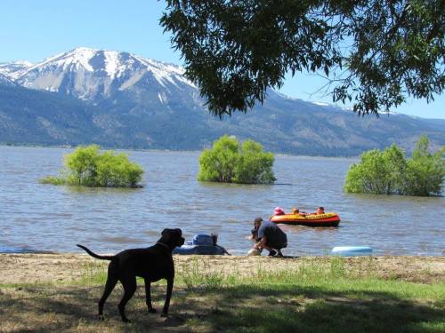 A dog watches as people relax by a lake with mountains in the background and a small inflatable boat nearby.