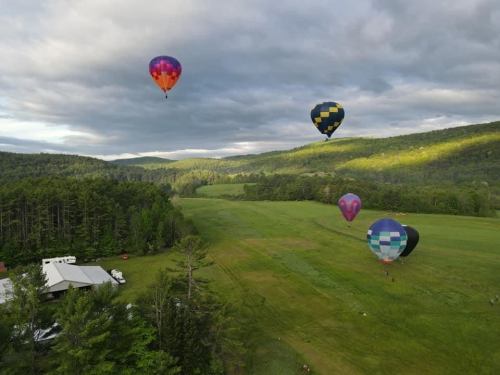 Colorful hot air balloons float above a green field surrounded by trees and rolling hills under a cloudy sky.