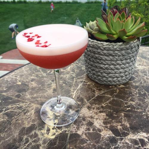 A pink cocktail with a frothy top and red garnish sits on a marble table next to a succulent plant in a woven pot.