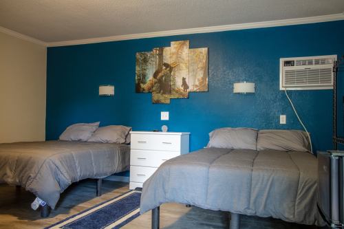 A cozy bedroom with two beds, a white dresser, and a blue accent wall featuring nature artwork.