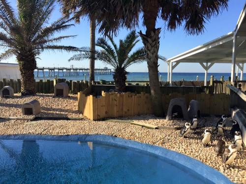 A serene coastal scene featuring a pool, palm trees, and a group of penguins near a wooden fence by the ocean.