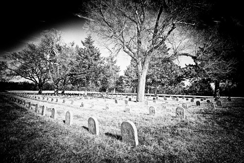 A black and white image of a cemetery with numerous gravestones and trees in the background.