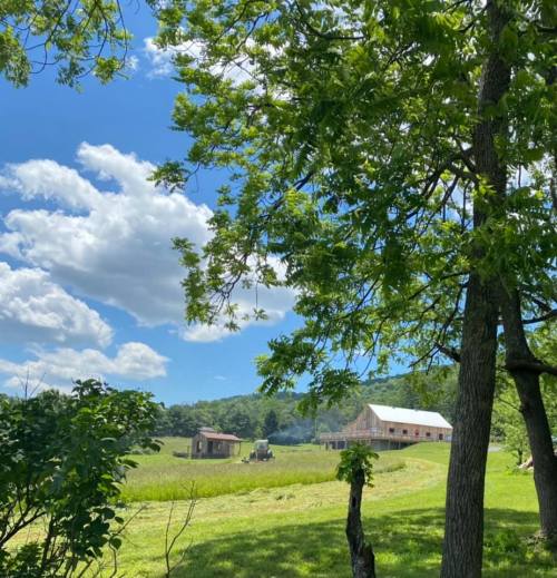 A scenic view of a green landscape with a farmhouse, trees, and a blue sky dotted with clouds.