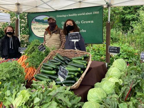 Two people wearing masks stand behind a table of fresh vegetables at a farmers market, with a sign for Winter Green Farm.