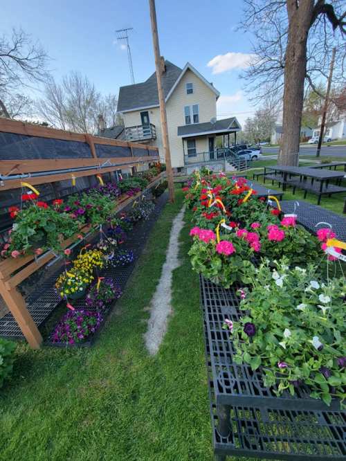 A vibrant flower garden with colorful plants arranged on tables, alongside a grassy path and a house in the background.