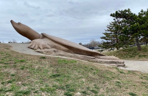 A large, sculpted turtle lies on a grassy hill, with a tree and cloudy sky in the background.