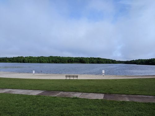 A serene lake view with a sandy beach, green grass, and a bench overlooking the water under a cloudy sky.