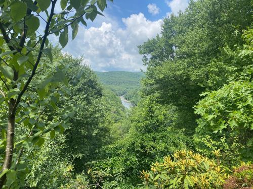Lush green trees frame a scenic view of a river winding through a valley under a partly cloudy sky.