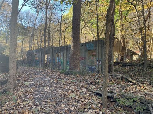 Abandoned concrete structure in a wooded area, surrounded by trees and fallen leaves, with graffiti on the walls.