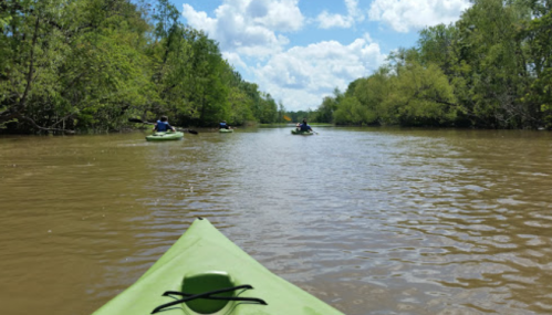 A view from a kayak on a river, with other kayakers paddling in the distance surrounded by lush greenery.