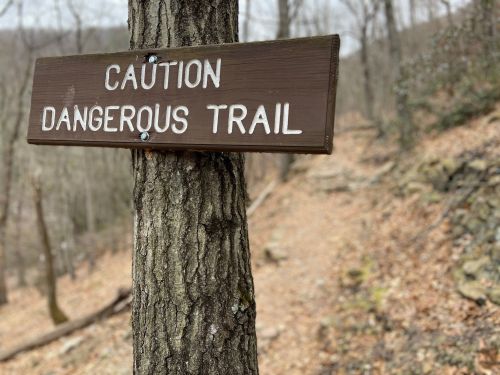 A wooden sign on a tree reads "Caution Dangerous Trail," with a forested path visible in the background.