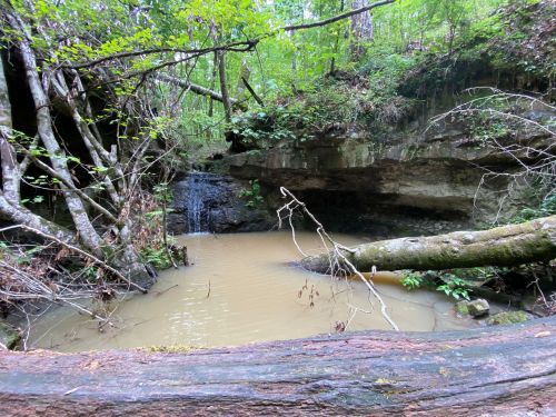 A serene forest scene featuring a small pond surrounded by trees and rocky cliffs, with a gentle waterfall in the background.