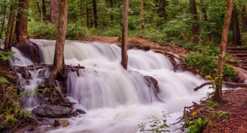A serene waterfall cascades over rocks, surrounded by lush green trees in a tranquil forest setting.