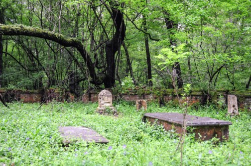 Overgrown cemetery in a dense forest, featuring moss-covered gravestones and a stone wall partially hidden by greenery.