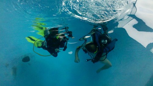 Two divers underwater, wearing scuba gear, exploring a clear blue pool. Bubbles rise around them.