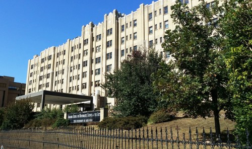 A large, historic building with a flat roof and multiple windows, surrounded by trees and a fence under a clear blue sky.