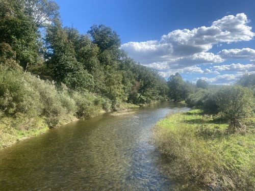 A serene river flows through a lush green landscape under a blue sky with fluffy clouds.