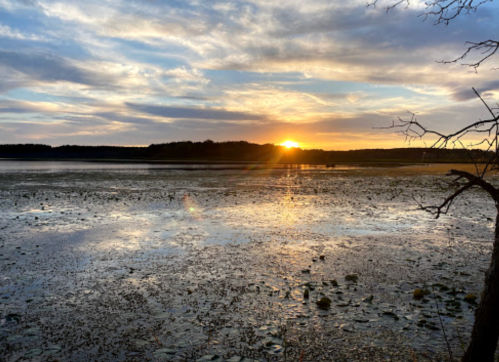 Sunset over a calm lake, with a low water level revealing rocks and mud along the shore, framed by trees.