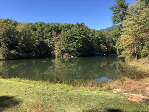 A serene lake surrounded by lush green trees and a clear blue sky, reflecting the natural beauty of the landscape.