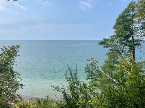 A serene view of calm waters meeting the sky, framed by lush greenery along the shoreline.