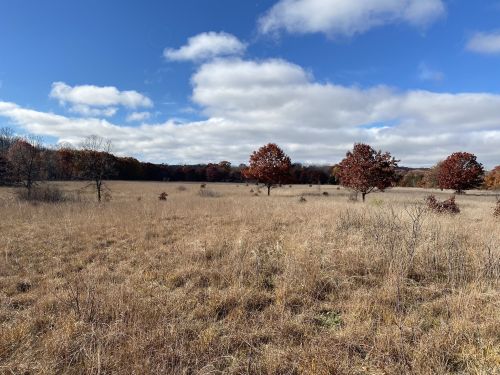 A wide, open field with dry grass and a few trees, under a partly cloudy blue sky.
